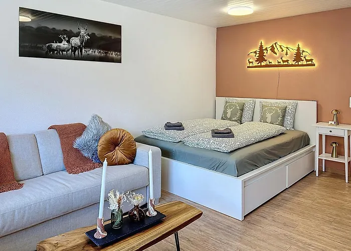 Saas-Fee Panorama Studio photo